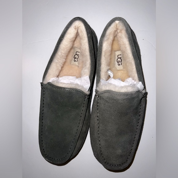 UGG Ascot Slipper size 8 (unisex) main image 4